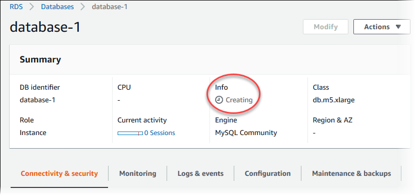 My DB instances details.